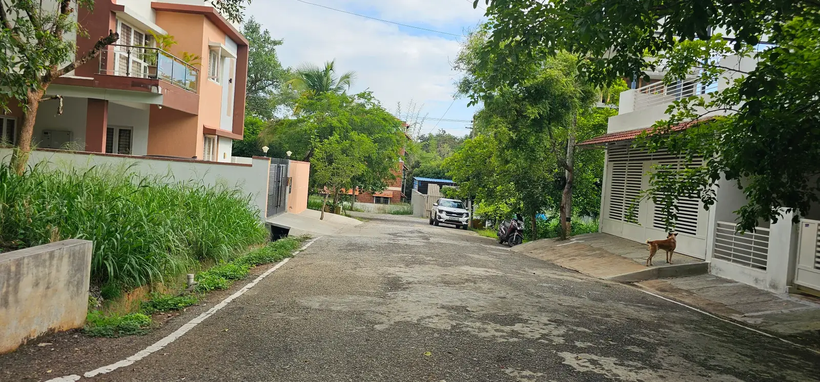 Nanda Prakruthi — internal road and villas