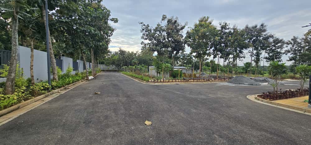 Nanda Vatika — internal road and avenue plantation